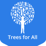 Stubbe waddinxveen BV - Samenwerking met Trees for All - Betonboorbedrijf